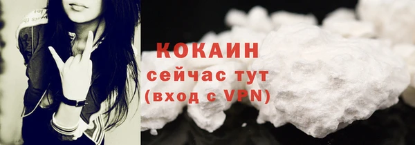индика Абинск