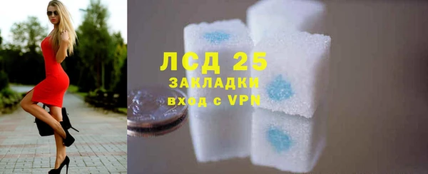 индика Абинск