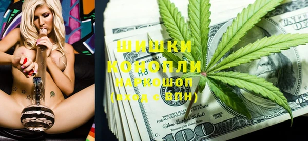 индика Абинск